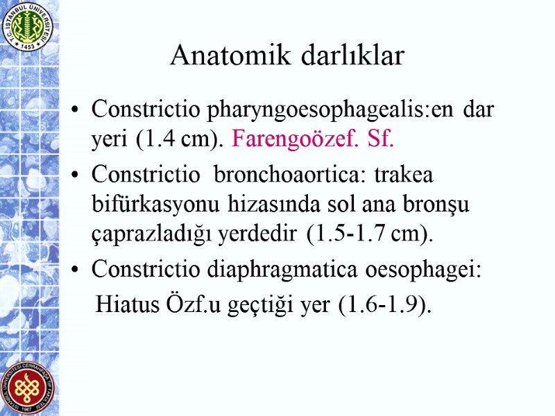 Anatomik darlıklar  Constrictio pharyngoesophagealis:en dar yeri (1.4 cm). Farengoözef. Sf.  Constrictio 